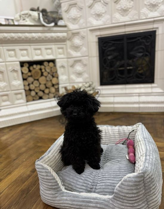 Лежанка для улюбленців “Квадрат “