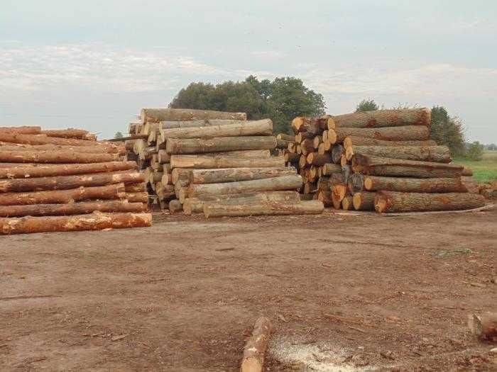 Łata dachowa 4x6, krawędziaki, kantówki, belki, deski,