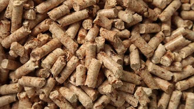 NOVO - Litter ABSORVENTE ORGÂNICO 10L para Animais, Pellets de fundo
