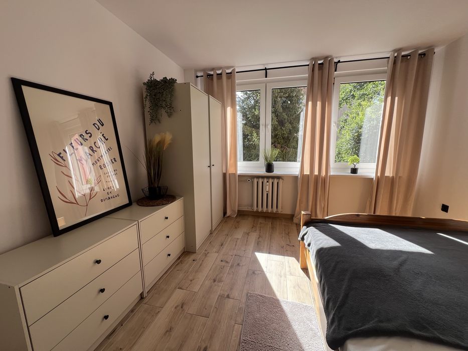 Idealna lokalizacja: duży, cichy, słoneczny – pokój prawie 20m²