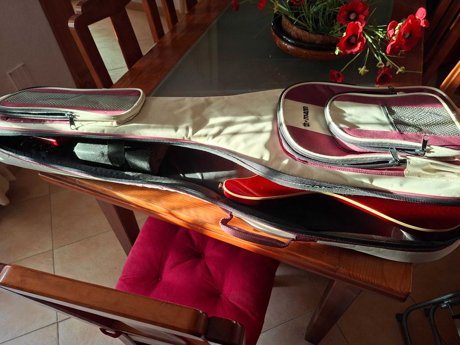 Guitarra Epiphone by Gipson S900 + Bag