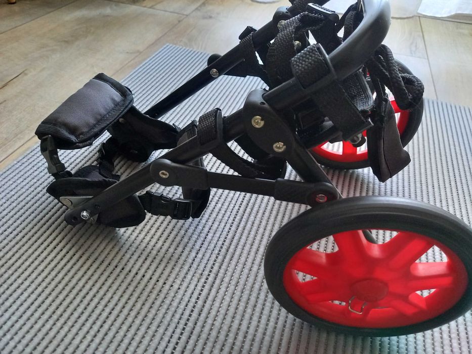 Wózek rehabilitacyjny/inwalidzki dla psa