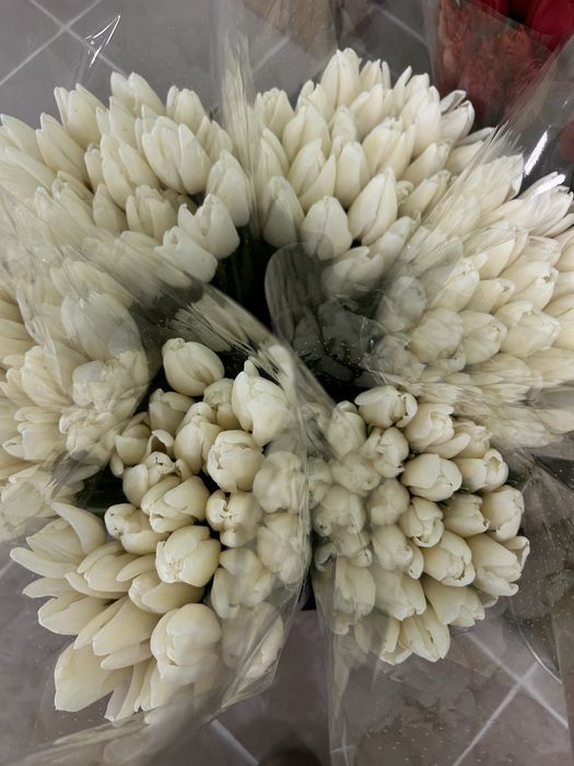 Доставка квітів Черкаси,тюльпани Черкаси