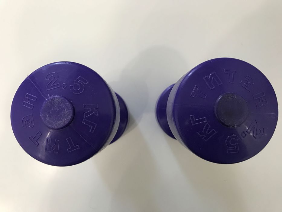 Гантелі 2.5 кг нові
