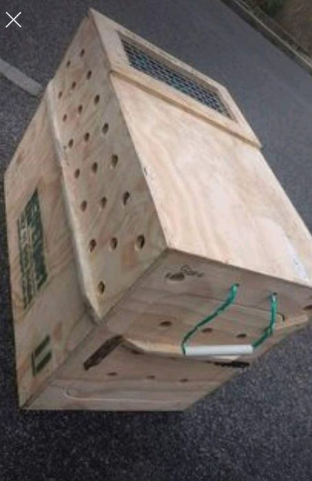 Transportadora de animais certificada.  Artigo novo. Preço nas fotos