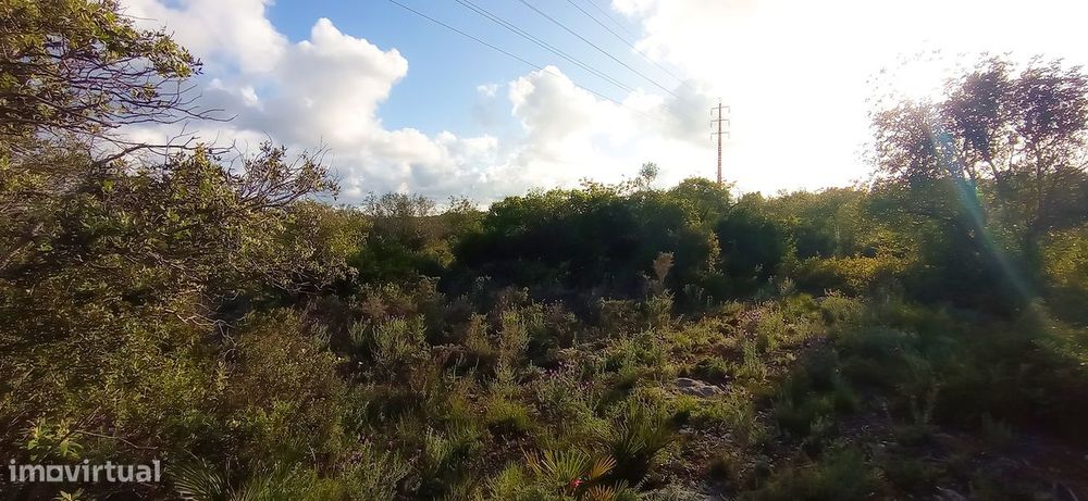 Terreno Rústico  Venda em Conceição e Estoi,Faro