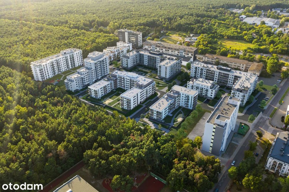 4-pokojowe mieszkanie 80m2 + loggia Bezpośrednio