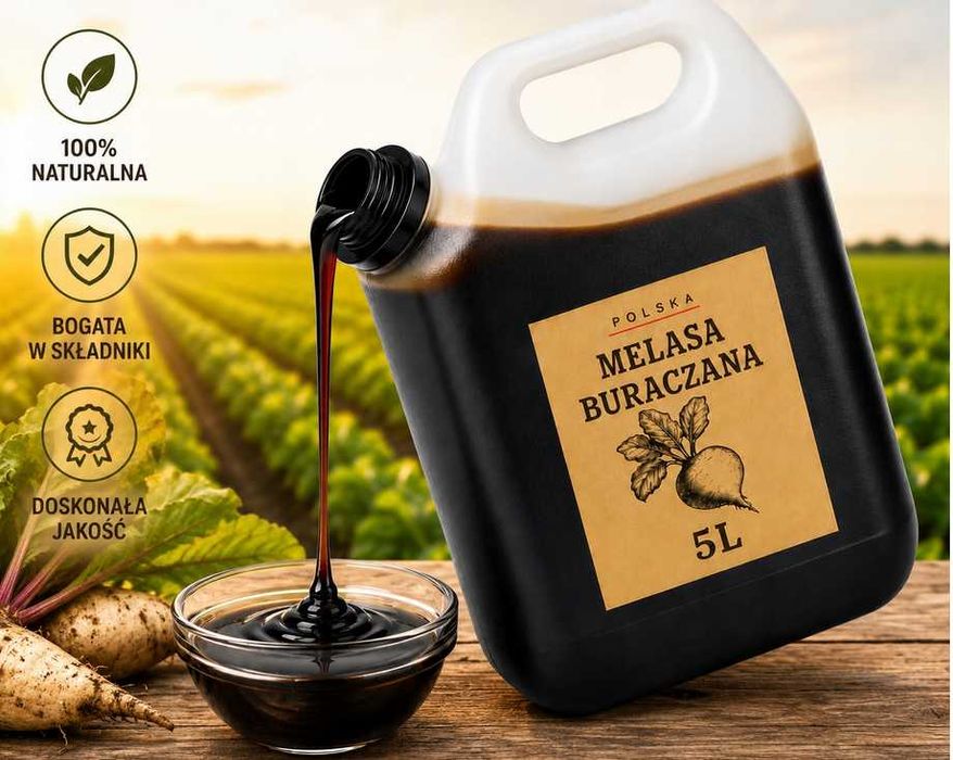 Melasa buraczana , energia dla krów mlecznych