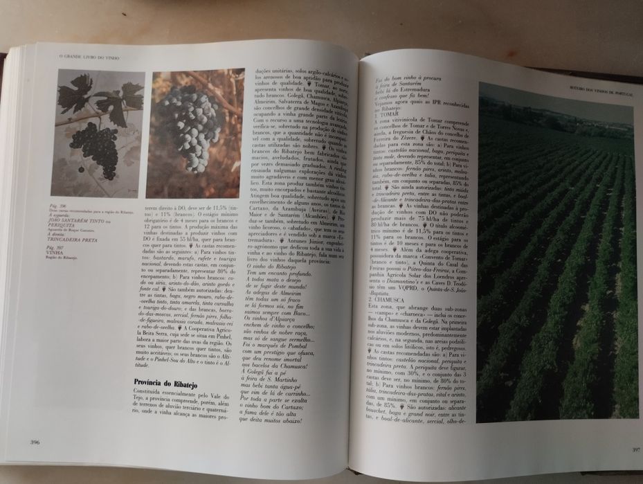 O Grande Livro do VINHO