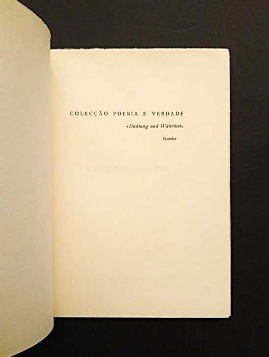 Margarida Futscher - Bens adquiridos