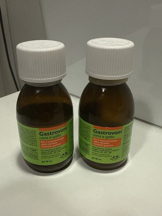 Gastrovom dla kota