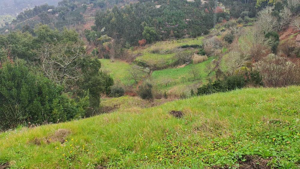 Propriedade com 4ha com Casas, Água, Vista e Muito Acolhedora