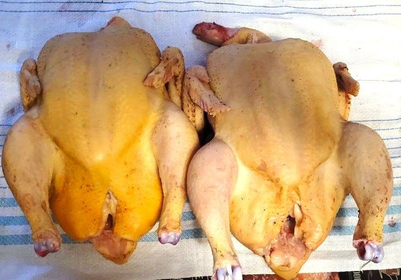 Продаж тушки домашнього бройлера