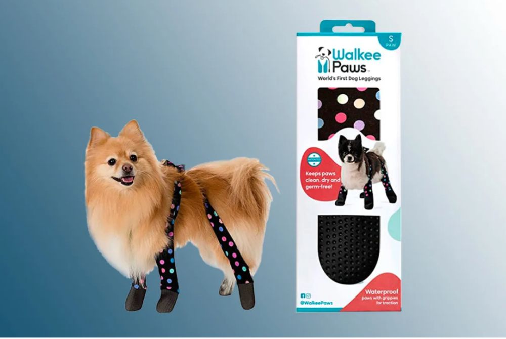 Водонепроникні легінси-взуття захист для собак