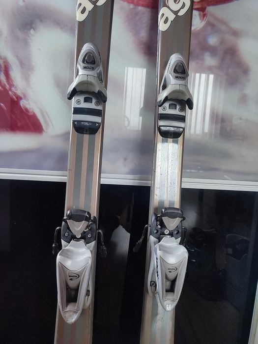 Лижі dynostar гірські та черевикі salomon