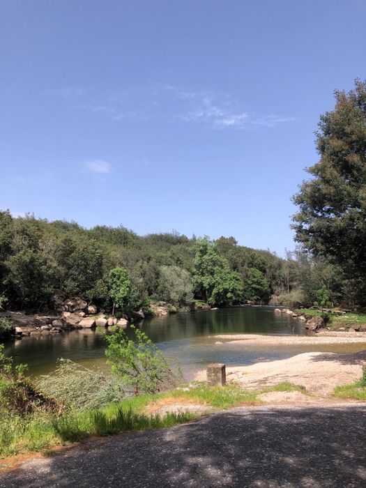 Arrenda-se Quinta Exclusiva 25ha | 1km margem de Rio Mondego