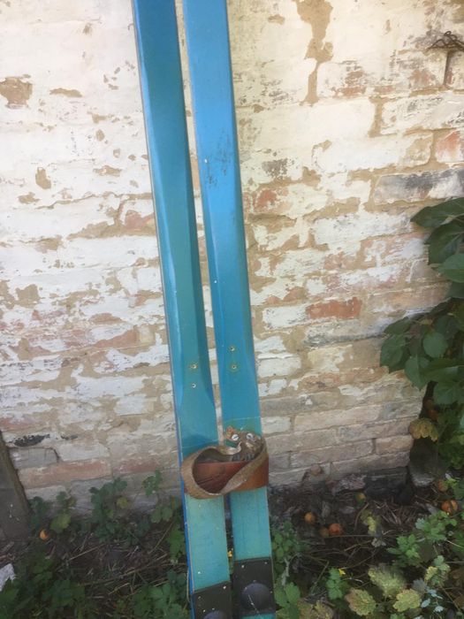 Лижі    для   дорослих