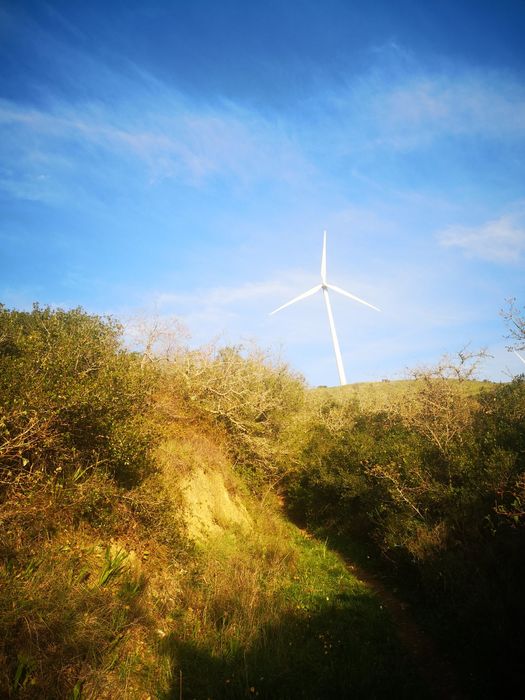 TERRENO Dos Pássaros