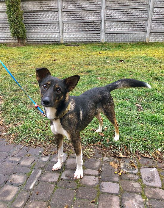 Хлопчик шукає родину