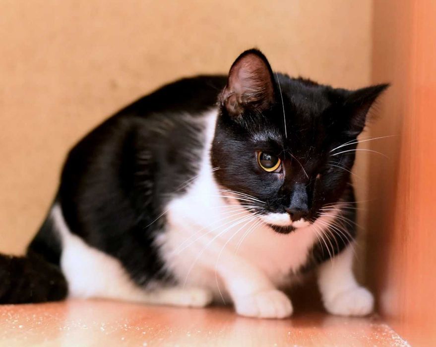 Лётке не нужен идеальный мир. Ей нужен свой человек
