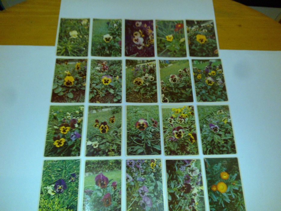 flores - coleção primavera (100 calendários) 1985 rara