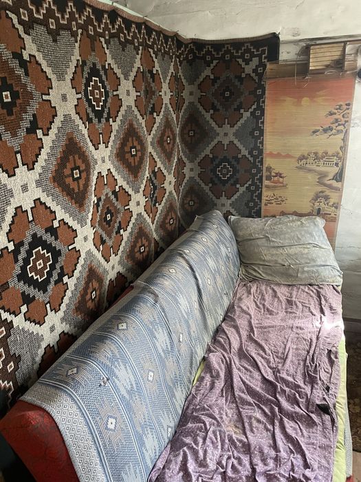 Будинок разом з земельною ділянкою