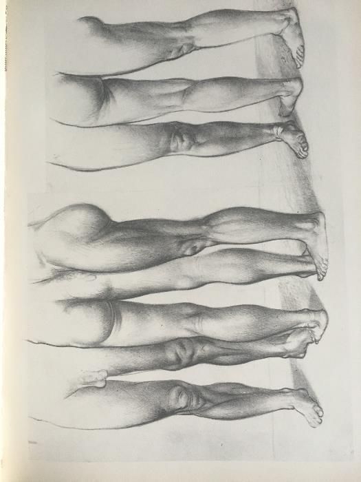 Анатомия для художников / Йене Барчаи, третье издание, 1959 год