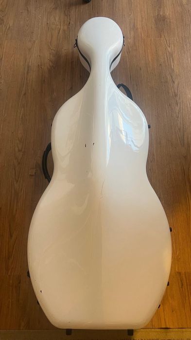 Violoncelo profissional