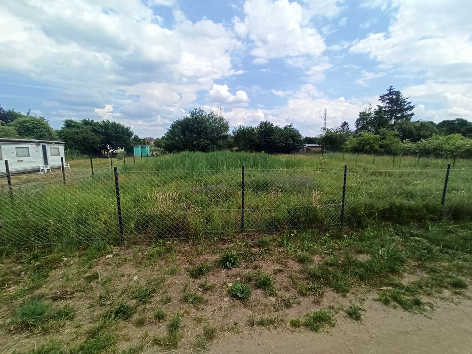 Dwie działki ROD nad Regą w Trzebiatowie. - Widok 5