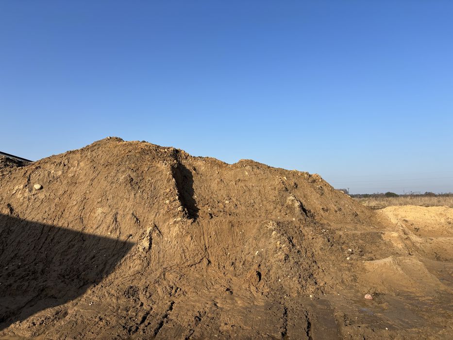 Oddam ziemie za darmo