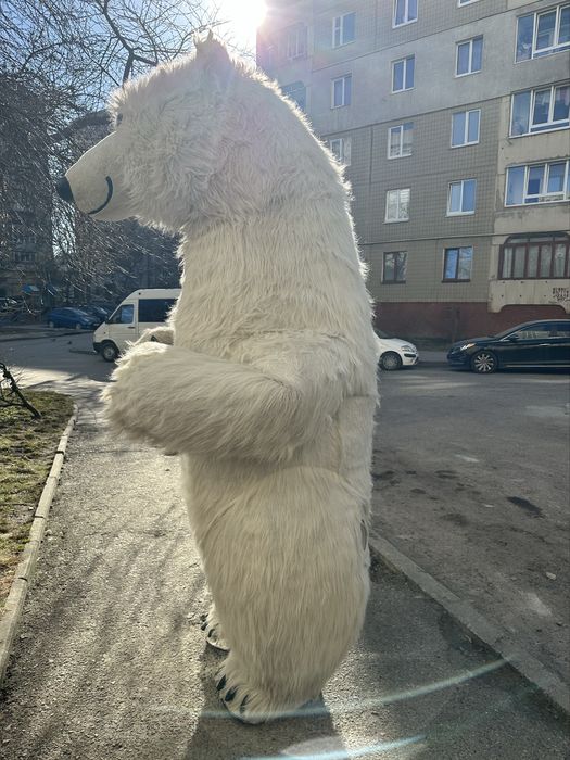 Продам білого ведмедика; білий ведмідь; купити білого ведмедя; ведмідь