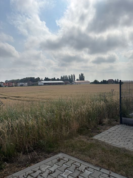 Działki budowlane - Głogówek