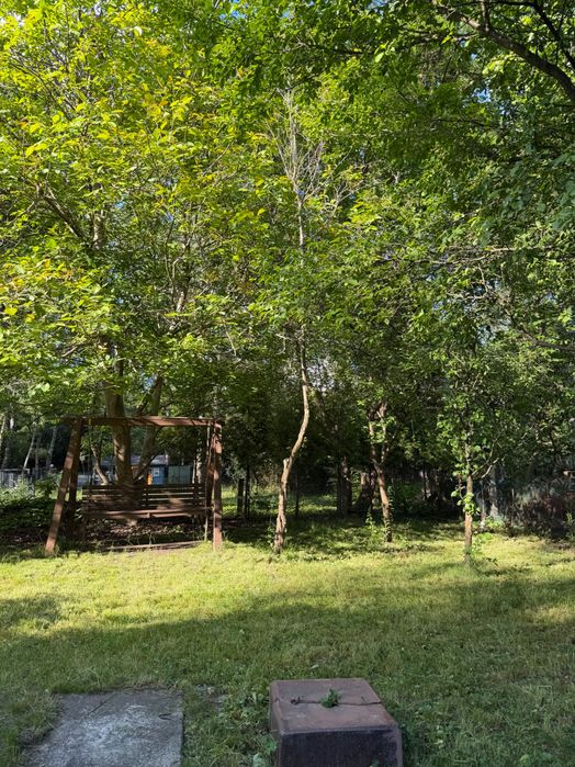 Odstąpię prawo do dzierżawy działki rod „magnolia” - Widok 2
