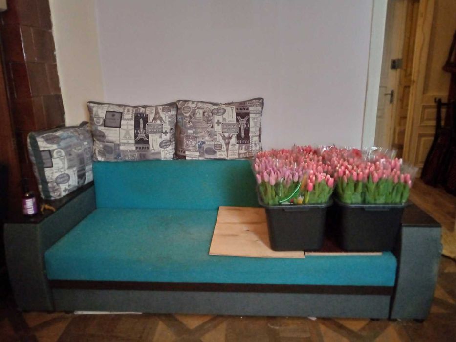 Диван розкладний