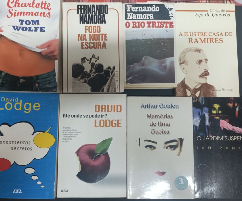 Vários romances a 5 euros