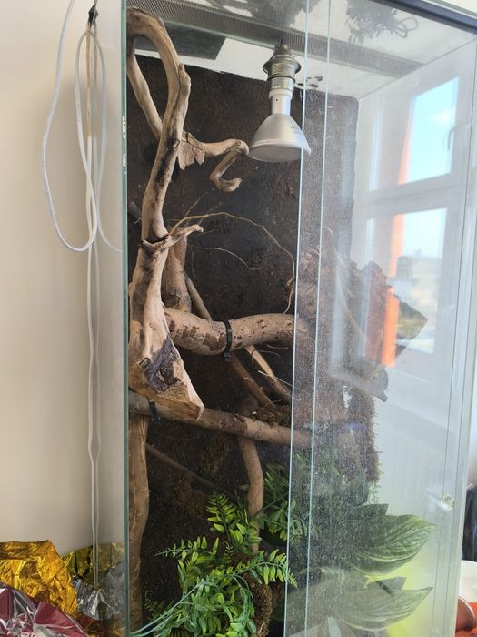 Terrarium szklane pionowe