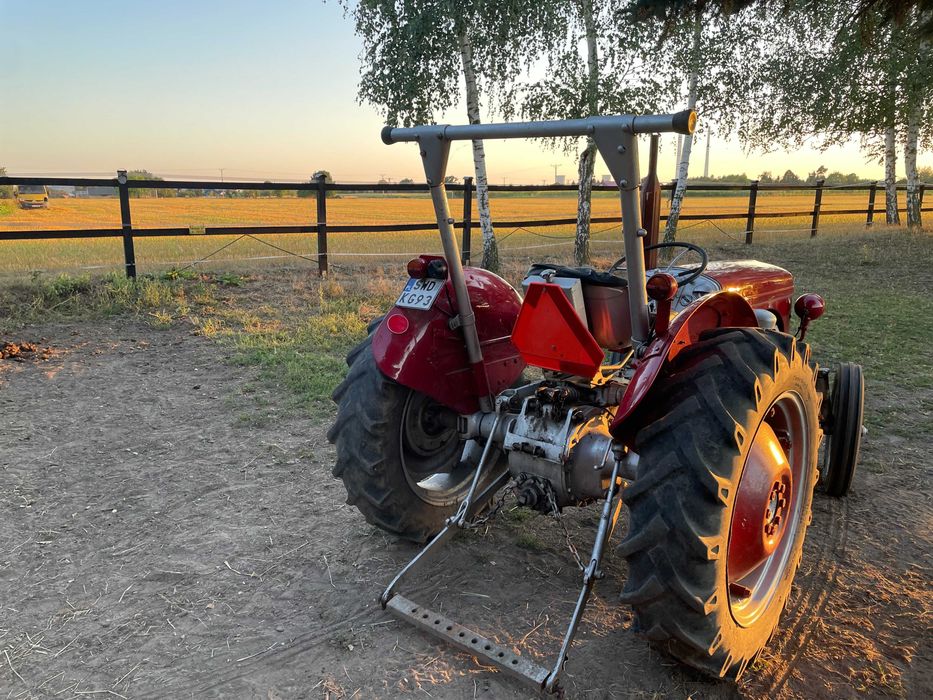 Ciągnik rolniczy Massey Ferguson TE-D, 1954 r.