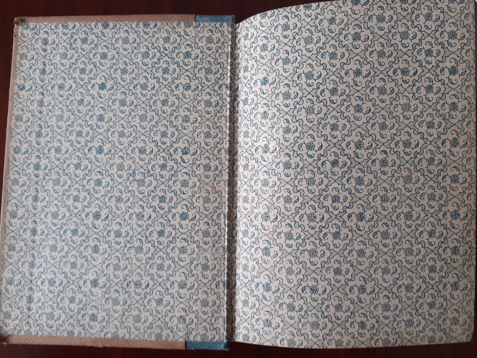 Dois annos de troça. Eduardo Fernandes