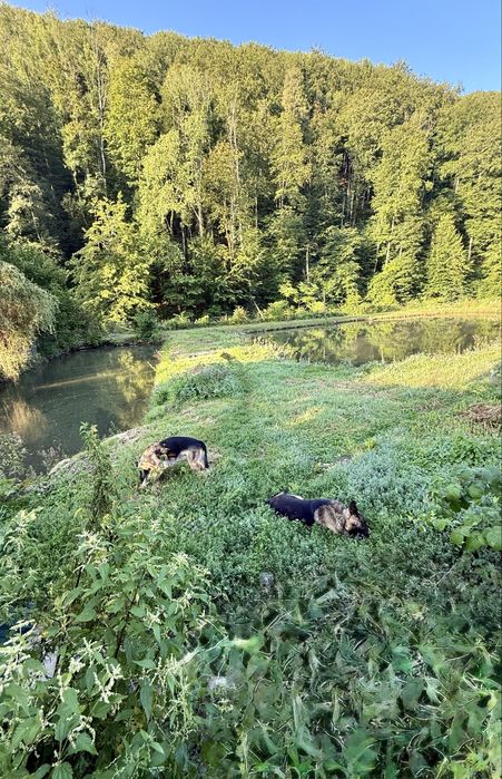 Будинок для Відпочинку Закарпаття, м. Свалява.