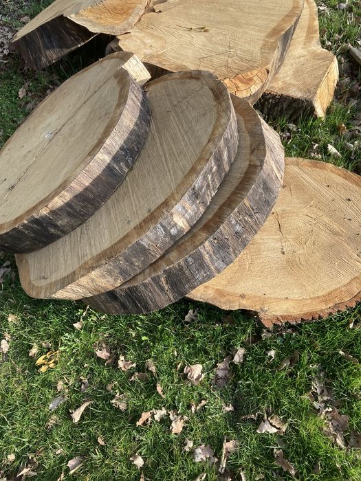Plastry dębu, srednica 120 cm