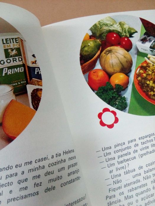 Maria de Lourdes Modesto