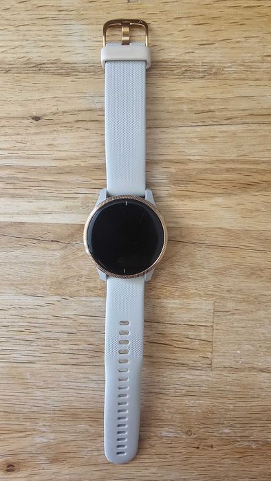 Smartwatch Garmin Venu