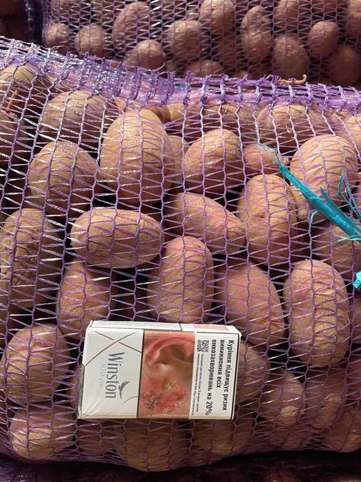 Картопля посадкова жовті/червоні сорти ОПТ