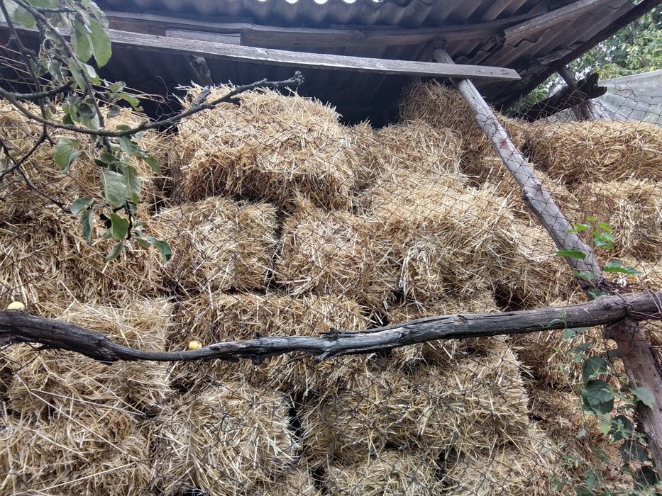 Продам пшеничную солому