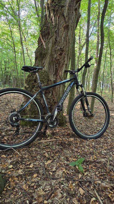 Arkus Beryl 290 rower górski MTB