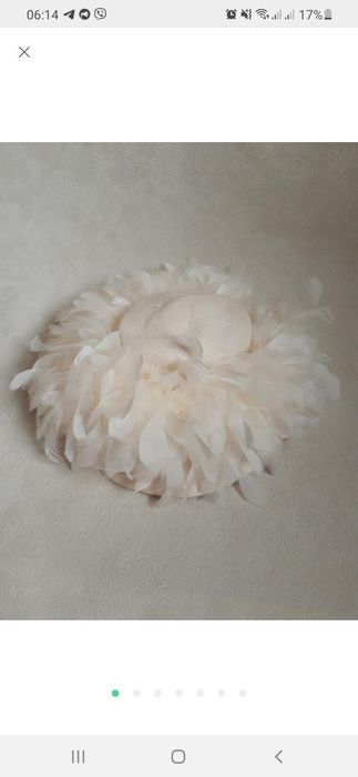 Капелюх з пір'ям