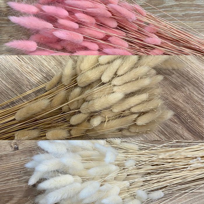 Сухоцвіти натуральні матеріали