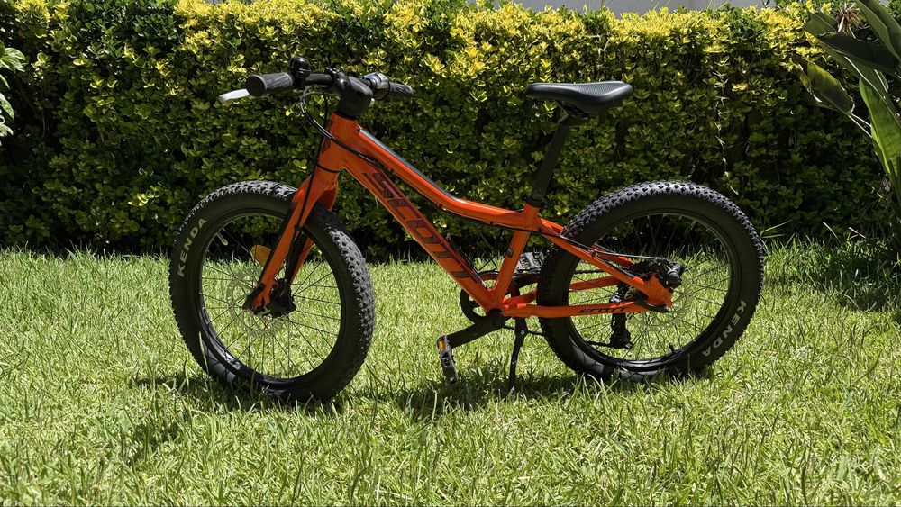 Scott Roxter 20”