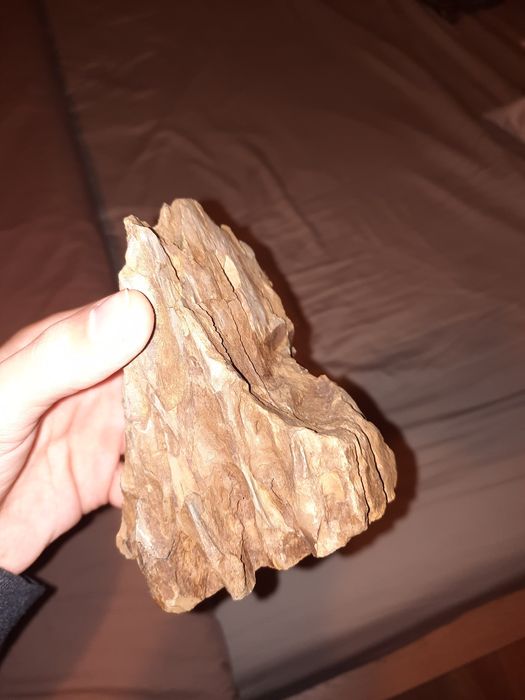 Decoração de Aquário