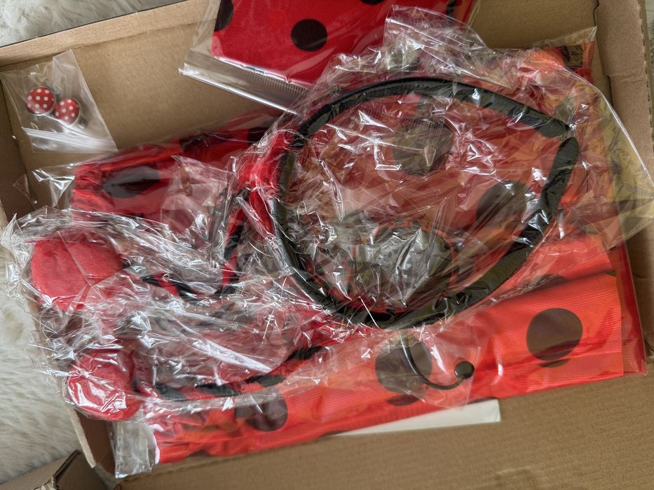 Kostium biedronki dla dzieci